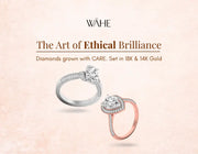 the art of ethical brilliance
